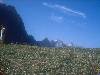 [thumbnail of Picture 30]