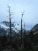 [thumbnail of Picture 3]