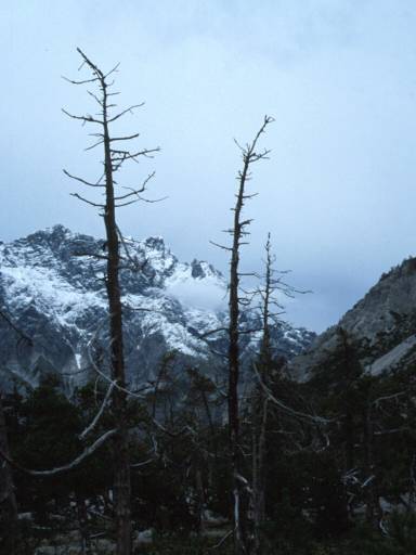 Image11.web.jpg