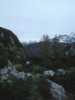 [thumbnail of Picture 6]