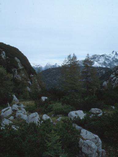 Image14.web.jpg