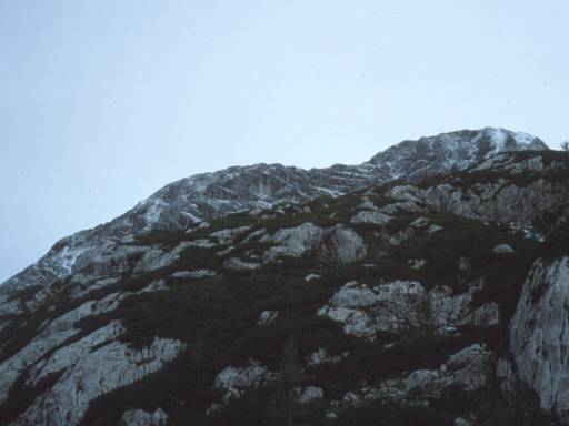 Image15.web.jpg