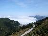 [thumbnail of Picture 1]