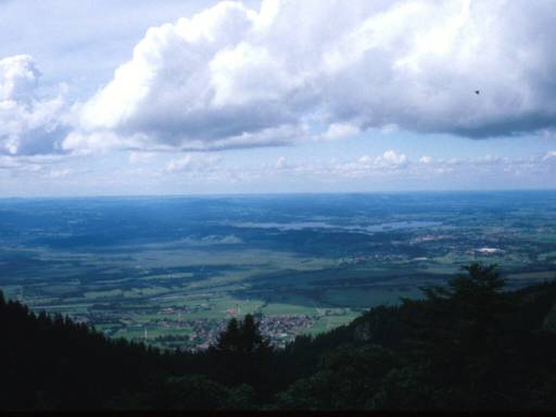 Image3.web.jpg