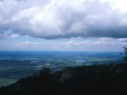 Image4.web.jpg