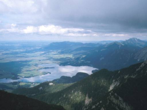 Image7.web.jpg