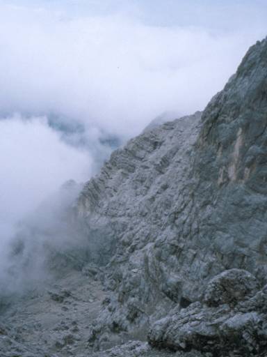 Image14.web.jpg