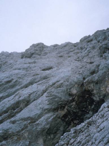 Image15.web.jpg
