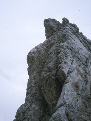 Image17.web.jpg