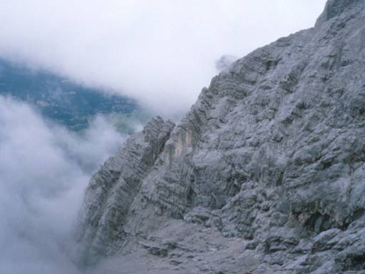 Image18.web.jpg