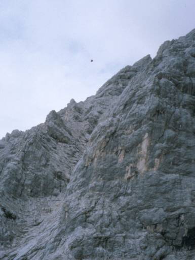 Image19.web.jpg