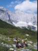 [thumbnail of Picture 12]