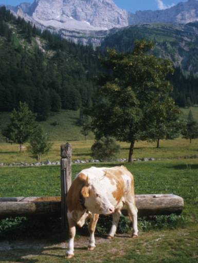 Image35.web.jpg