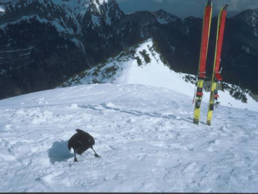 Image10.web.jpg
