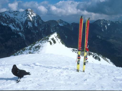 Image11.web.jpg