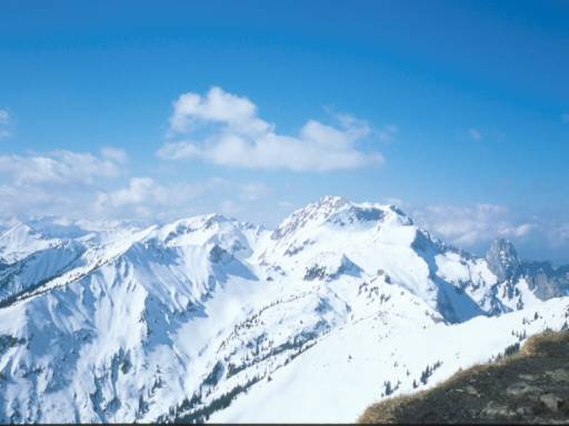 Image14.web.jpg
