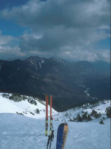 Image8.web.jpg