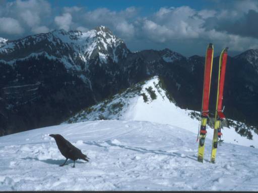Image9.web.jpg