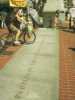 [thumbnail of Picture 16]