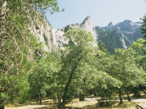 Image0029.web.jpg