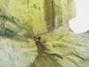 [thumbnail of Picture 2]