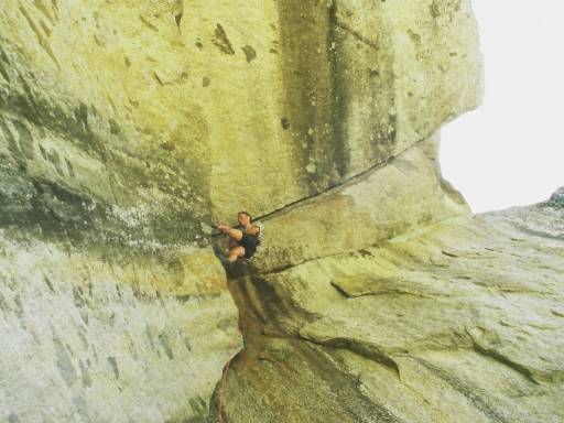 Image0039.web.jpg