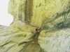 [thumbnail of Picture 3]