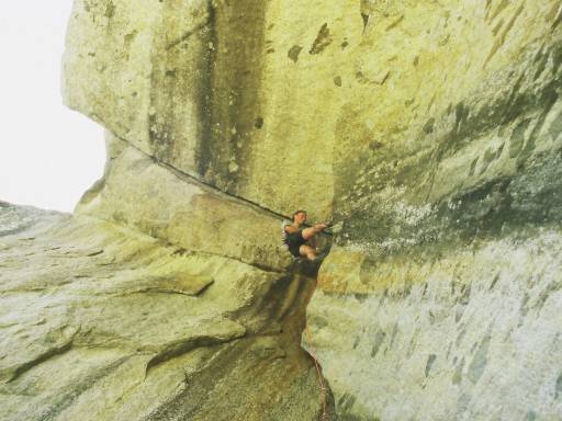 Image0040.web.jpg