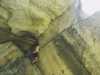 [thumbnail of Picture 5]