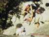 [thumbnail of Picture 13]