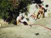 [thumbnail of Picture 15]