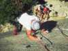[thumbnail of Picture 1]