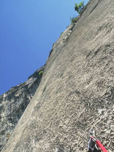 Image0081.web.jpg