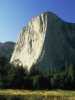 [thumbnail of Picture 12]