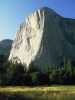 [thumbnail of Picture 13]