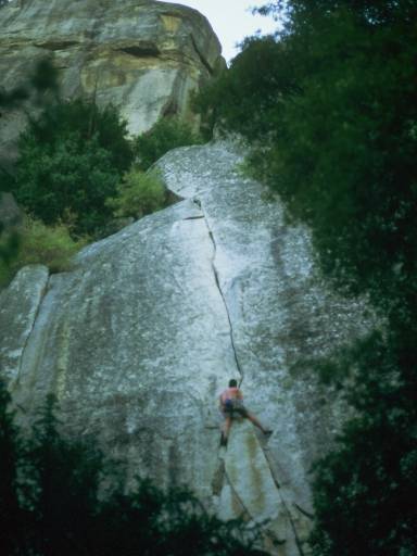 Image0090.web.jpg