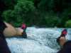 [thumbnail of Picture 20]
