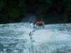 [thumbnail of Picture 21]