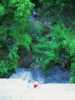 [thumbnail of Picture 22]