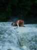 [thumbnail of Picture 23]