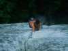 [thumbnail of Picture 26]