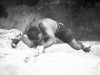[thumbnail of Picture 5]