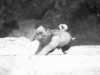 [thumbnail of Picture 7]
