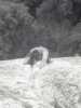 [thumbnail of Picture 11]