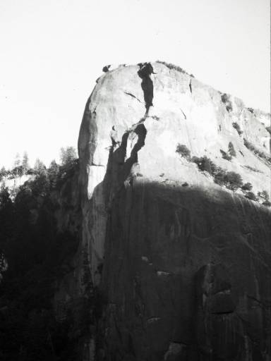 Image0269.web.jpg