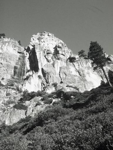 Image0278.web.jpg