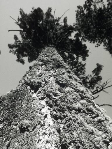 Image0279.web.jpg