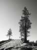 [thumbnail of Picture 28]