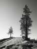 [thumbnail of Picture 29]