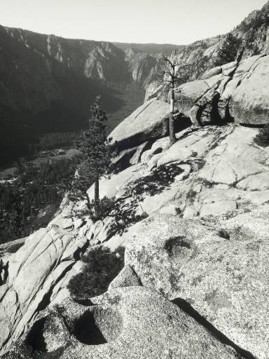 Image0285.web.jpg